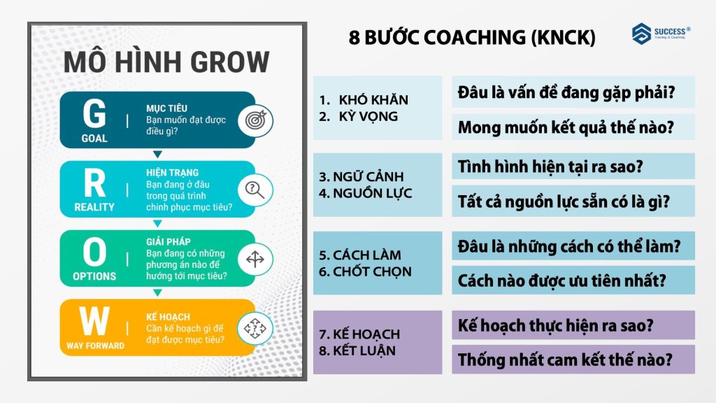 Train The Trainer, Elite Trainer