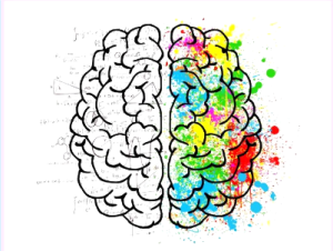 Truyền thông hai bán cầu não, Truyền thông hai não, Dual-brain communication, Kỹ năng truyền thông cho Trainer, Truyền thông hiệu quả trong đào tạo